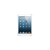 Ipad Mini 16 GO, Wifi