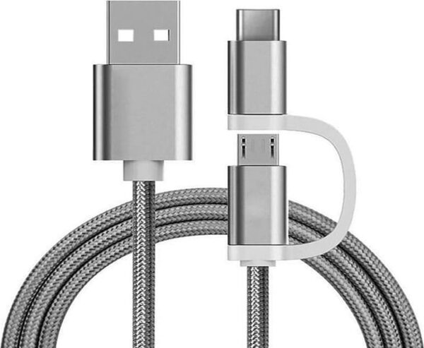 Câble 2 EN 1 MICRO USB - USB C reekin